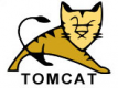 Tomcat Training in Brazil